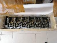 гбц фав наша